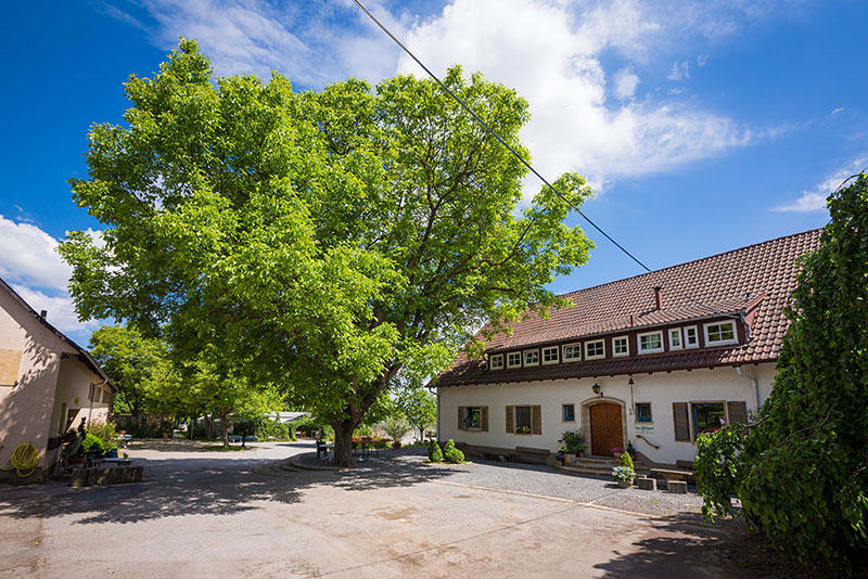 Der Sonnenhof