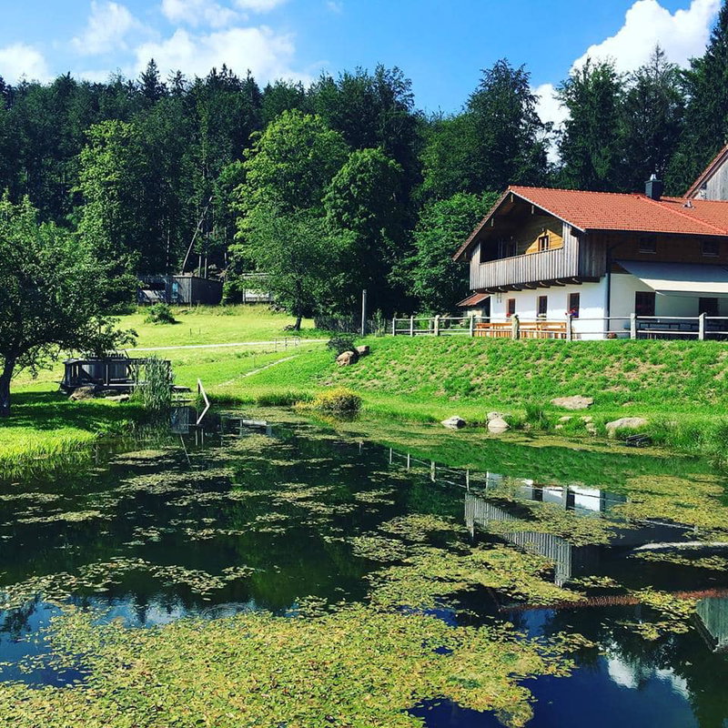 Gutsalm Harlachberg