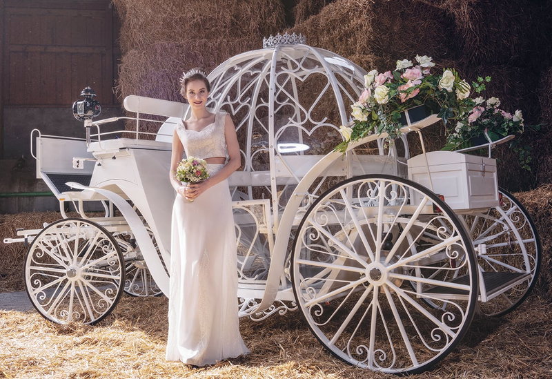 Hochzeitspferde - Wedding horses