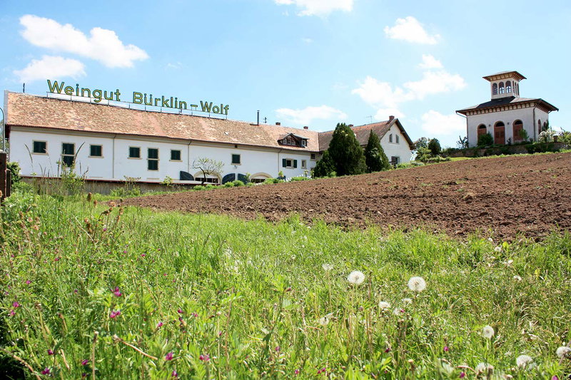 Hofgut Ruppertsberg / Weingut Bürklin-Wolf
