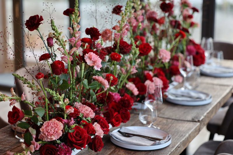 Wild Roses