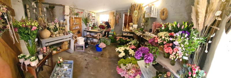 Die Zauberblüte