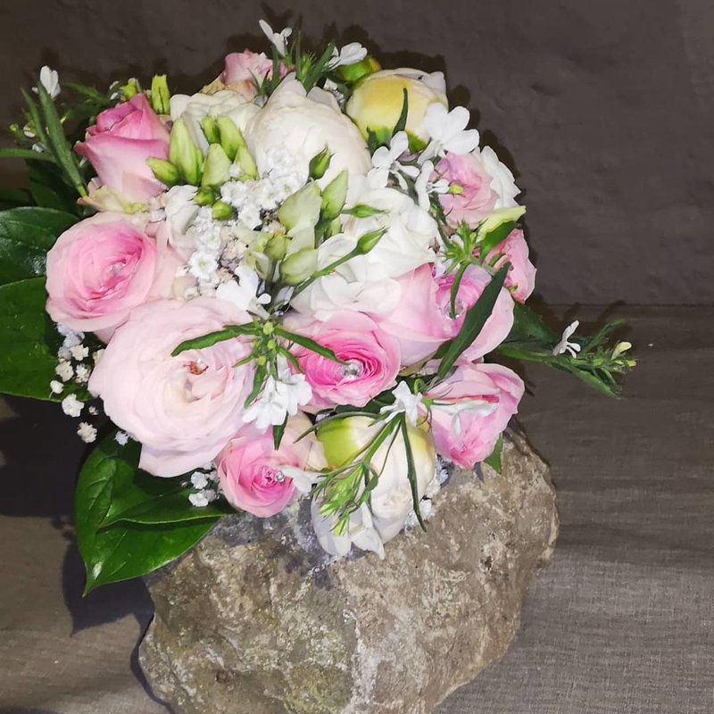Corina Baier