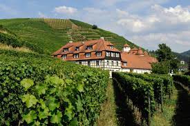 Schloss Neuweier & Freshfood Catering