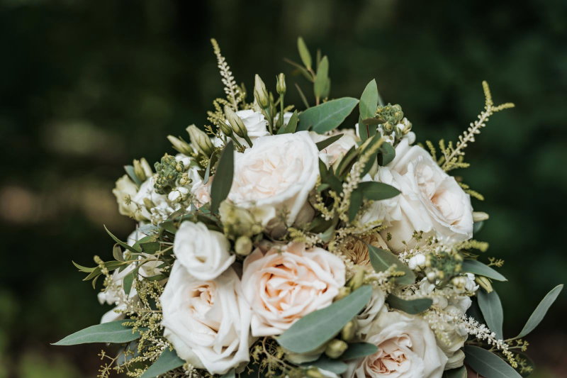 Blumen Schmidt