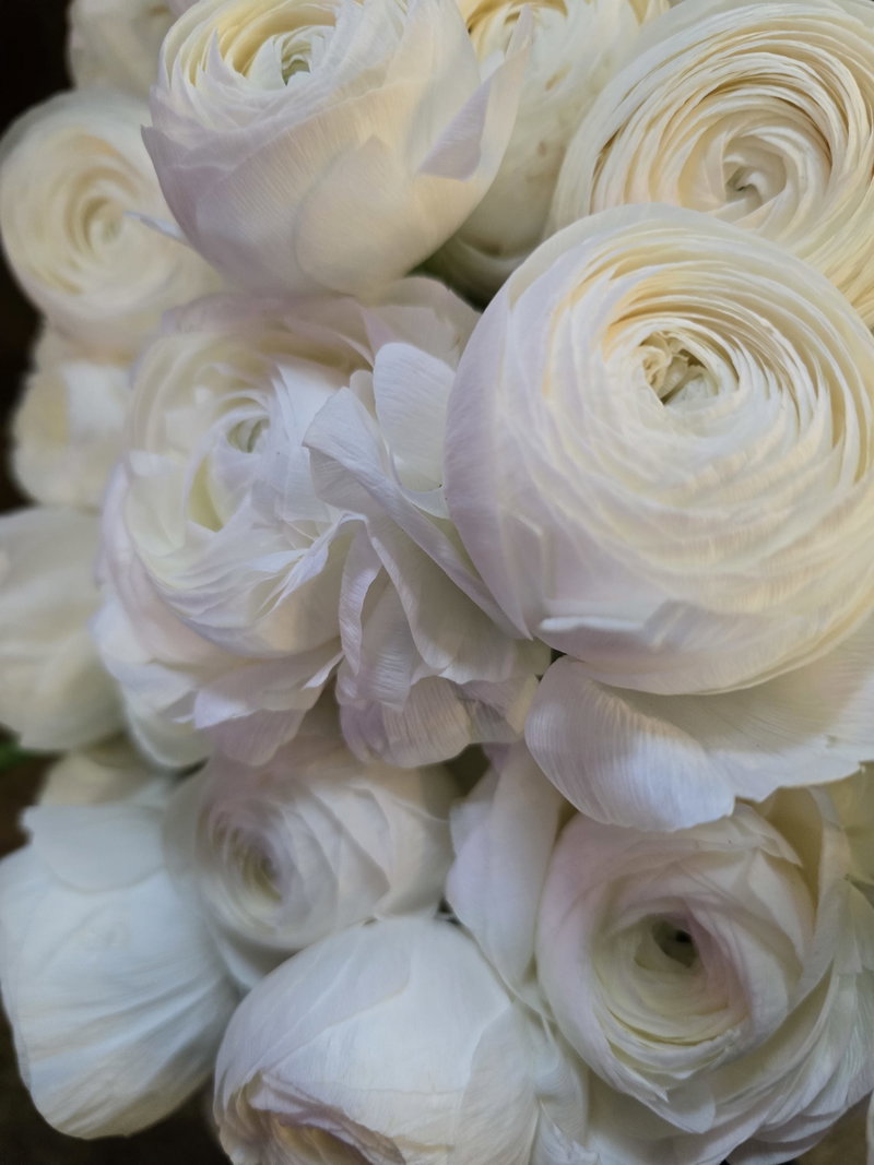 Blumenveranda Florale Formgebung der Floristik