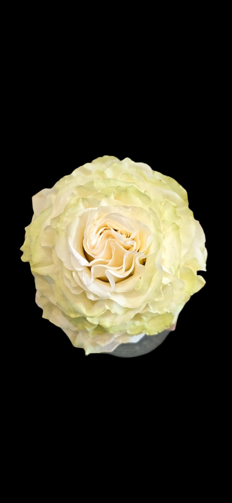 Blumenveranda Florale Formgebung der Floristik