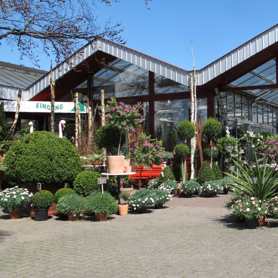 Blumen Geduldig