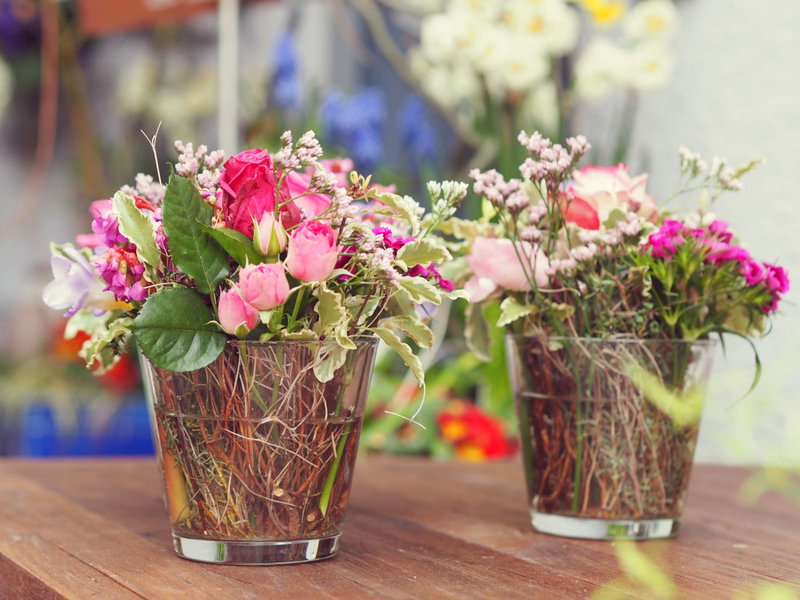 Blumen Springer