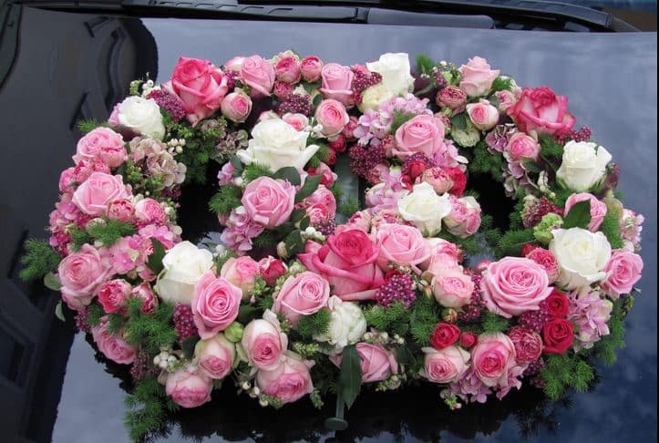 Blumen Springer